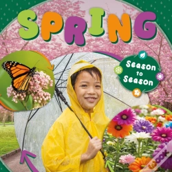 Capa do artigo Spring