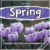 Capa do artigo Spring