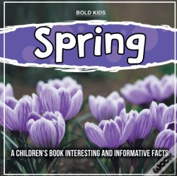 Capa do artigo Spring