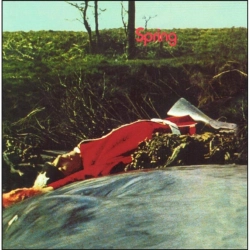 Capa do artigo Spring - CD