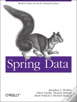 Capa do artigo Spring Data: The Definitive Guide