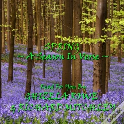 Capa do artigo Spring