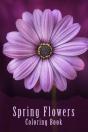 Spring Flowers Coloring Book - Preview