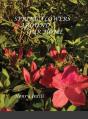 Spring Flowers - Preview