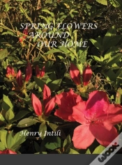 Capa do artigo Spring Flowers