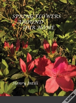 Capa do artigo Spring Flowers