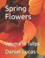 Spring Flowers - Preview