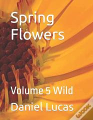 Spring Flowers