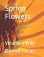 Spring Flowers - Preview