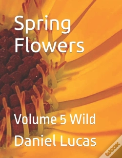 Capa do artigo Spring Flowers