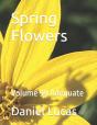 Spring Flowers - Preview