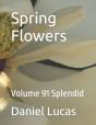 Spring Flowers - Preview