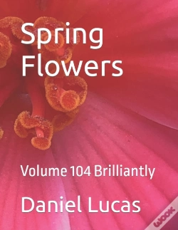 Capa do artigo Spring Flowers