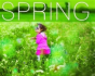 Spring - Preview
