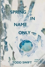 Capa do artigo Spring In Name Only