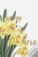 Spring Is Here