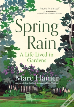 Capa do artigo Spring Rain