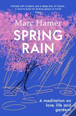 Capa do artigo Spring Rain