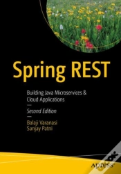 Capa do artigo Spring Rest