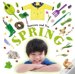Capa do artigo Spring