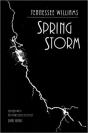 Spring Storm - Preview