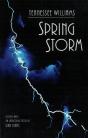 Spring Storm - Preview