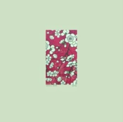 Capa do artigo Spring - Vinil