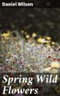 Spring Wild Flowers - Preview