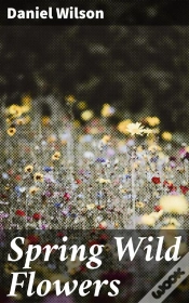 Capa do artigo Spring Wild Flowers