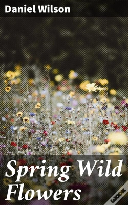 Capa do artigo Spring Wild Flowers