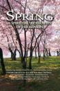 Spring - Preview