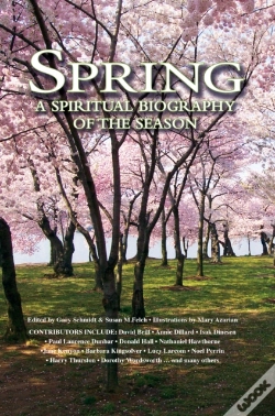 Capa do artigo Spring