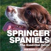 Springer Spaniels