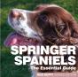 Springer Spaniels - Preview