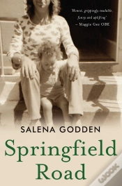 Capa do artigo Springfield Road