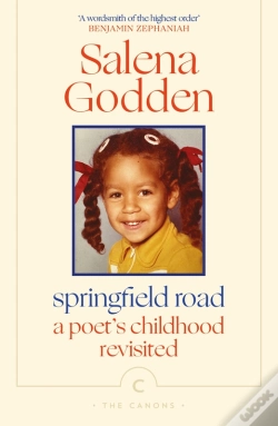 Capa do artigo Springfield Road
