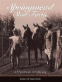 Springmead Stud Farm - Preview