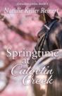 Springtime At Catoctin Creek - Preview