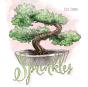 Sprinkles - Preview