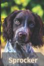 Sprocker - Preview