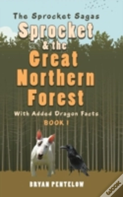 Capa do artigo Sprocket & The Great Northern Forest