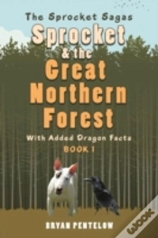 Capa do artigo Sprocket & The Great Northern Forest