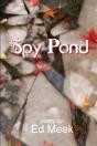 Spy Pond - Preview