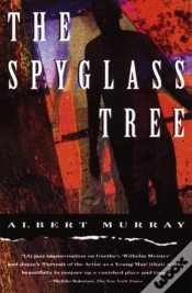 Capa do artigo Spyglass Tree