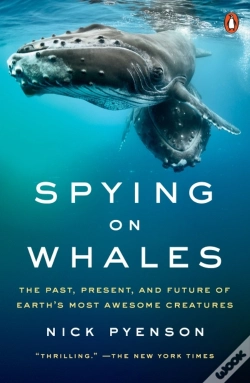 Capa do artigo Spying On Whales
