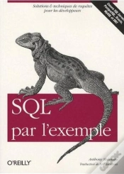 Capa do artigo Sql Par L