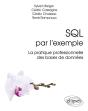 Sql Par L'Exemple ; La Pratique Professionnelle Des Bases De Données - Preview