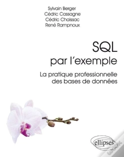 Capa do artigo Sql Par L'Exemple ; La Pratique Professionnelle Des Bases De Données