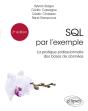 Sql Par L'Exemple : La Pratique Professionnelle Des Bases De Données - Preview