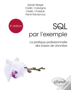 Capa do artigo Sql Par L'Exemple : La Pratique Professionnelle Des Bases De Données